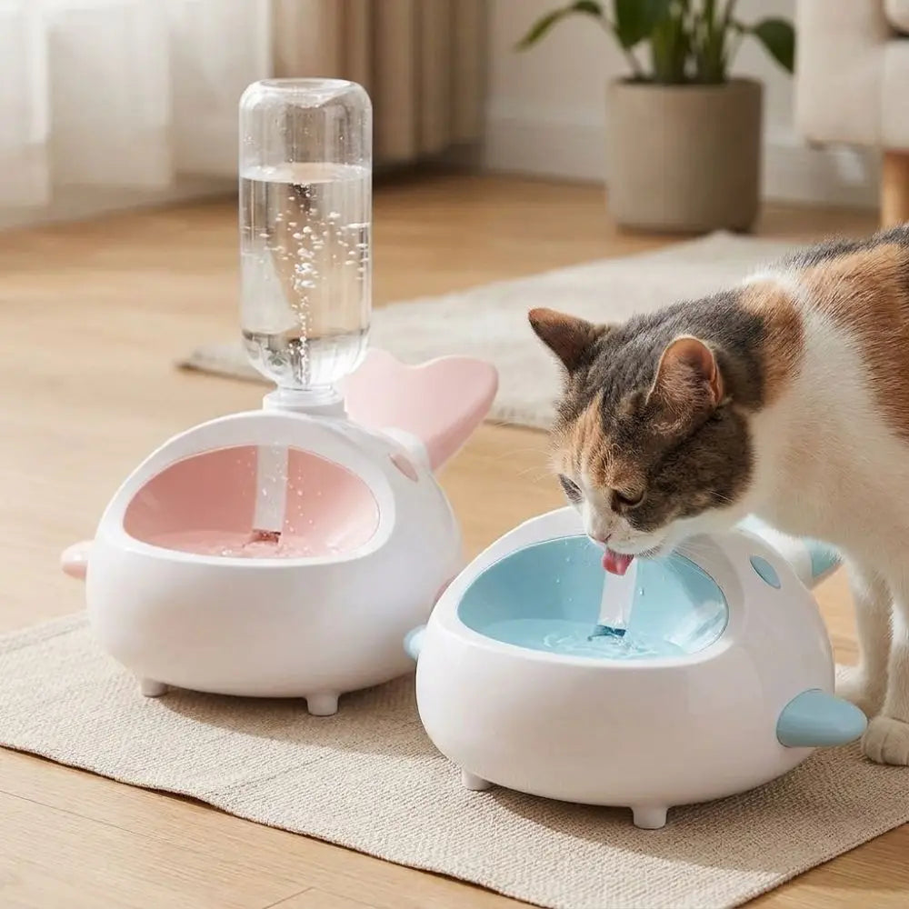 WhaleSip™ Pet Water Dispenser — product view 4